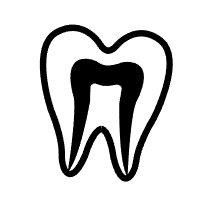 牙体牙髓