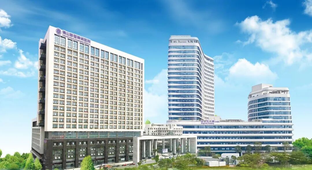 禅医口腔医师团队